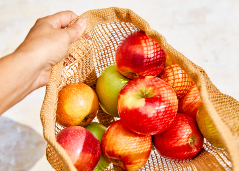 5 Tips For The Perfect Apple Picking Adventure